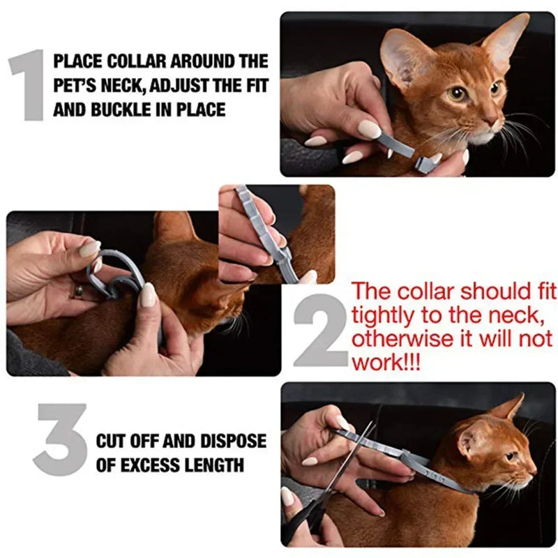 Colar Anti-Pulgas para cachorros e gatos